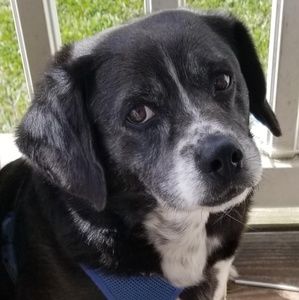 Meet your Posher, Adam